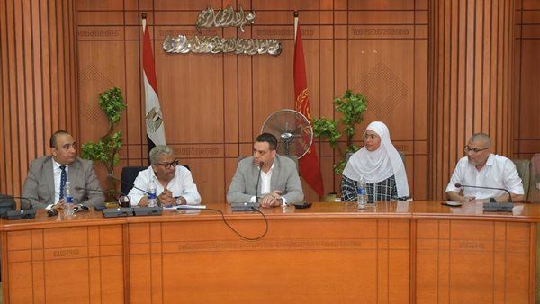 الجهود التنفيذية