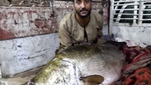 صياد بالأقصر يصطاد