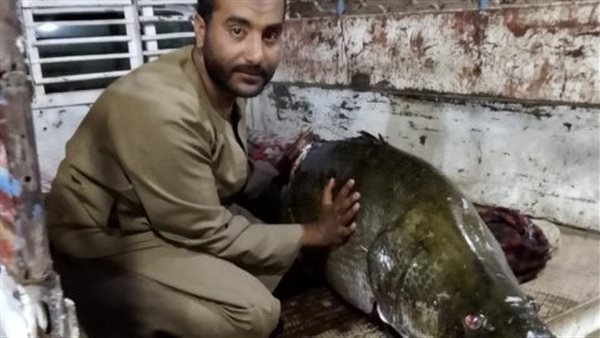 صياد بالأقصر يصطاد