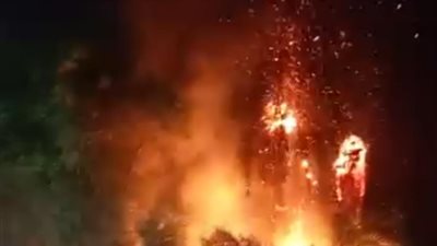 السيطرة على حريق نشب في أشجار نخيل بقنا 