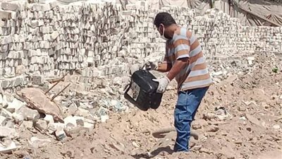 زراعة الإسكندرية تتابع أعمال اتخاذ الإجراءات الوقائية ضد النمل الأبيض