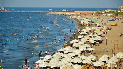 بورسعيد × 24 ساعة| رصف شوارع وتحصين ماشية.. وإنقاذ شاب توقف قلبه