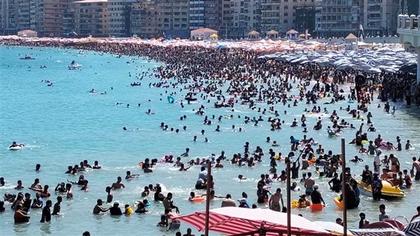 شواطئ الإسكندرية