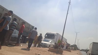 بسبب حمار.. حادث تصادم بين عدة سيارات على طريق شبين الكوم ـ قويسنا بالمنوفية