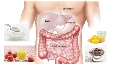 وصفات طبيعية فعالة لتطهير القولون وتعزيز الهضم.. تخلص من السموم فورًا