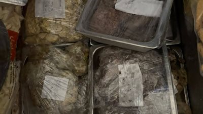 بعد رصد أغذية فاسدة.. غلق وتشميع 6 مطاعم بشارع النيل في رأس البر