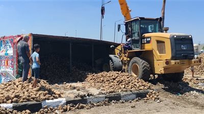 انقلاب مقطورة محملة بالبنجر أعلى الكوبري الدائري بالدقهلية