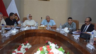 محافظ الوادي الجديد: جدولة المديونيات المستحقة على المشروعات الملتزمة بالسداد