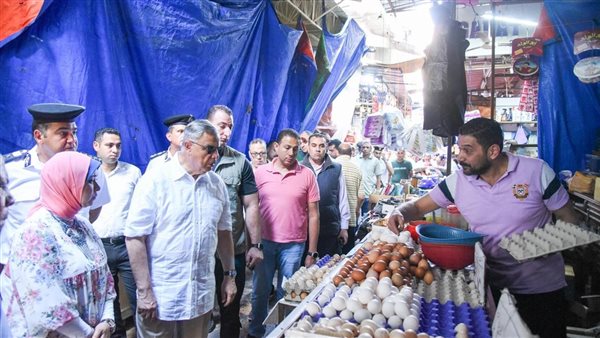 محافظ الإسكندرية