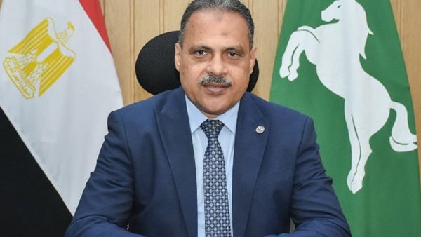 محافظ الشرقية 