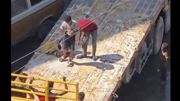 المجاعة في غزة