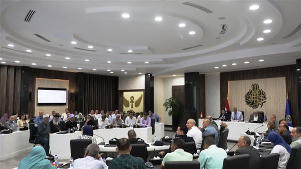 محافظ أسوان