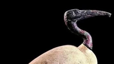 على هيئة طائر أبو منجل.. المتحف المصري بالتحرير يعرض تمثالا نادرا للإله تحوت