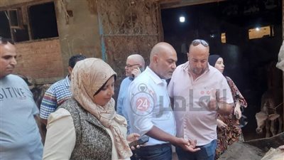 ضبط 5 أطنان لحوم مواشٍ مريضة بأختام مزورة في المنوفية