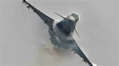 طائر نورس يحطم قمرة طائرة حربية إسبانية 