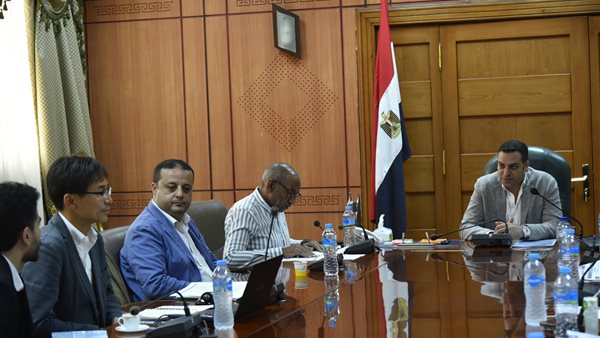 الجهود التنفيذية