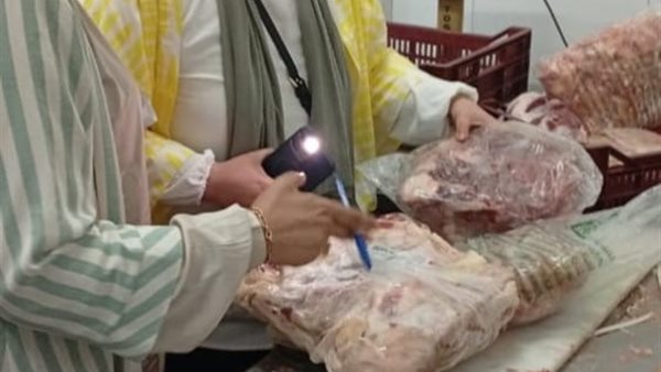 جانب من الحملات 