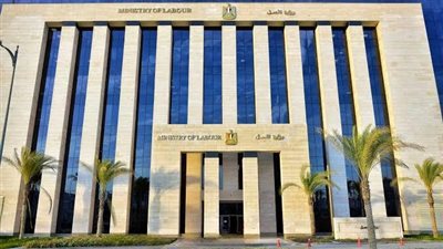 وزارة العمل تعلن فُرص عمل في الأردن برواتب تتراوح بين 300 إلى 550 دينارًا