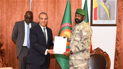 وزير الخارجية يسلم رئيس مالي رسالة خطية من الرئيس السيسي