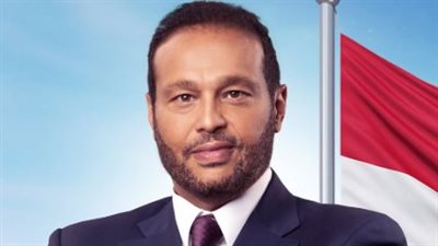 محمد حلاوة: المواطنون سيحتشدون للإدلاء بأصواتهم في انتخابات مجلس الشيوخ لتقديم صورة مشرفة