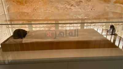  ننشر أحدث صور لمومياء توت عنخ آمون بوادي الملوك في الأقصر 