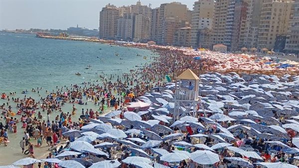 شاطئ في إسكندرية