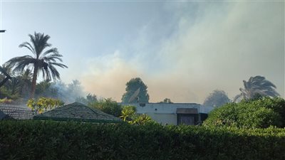 السيطرة على حريق في عدد من الزراعات بمنطقة الخزان في أسوان