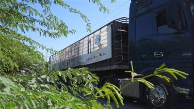 الأردن يعلن عن انطلاق قافلة مساعدات إنسانية من 60 شاحنة متجهة إلى قطاع غزة