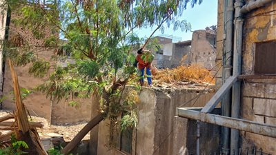 ستعمم على بقية الأحياء.. محافظ القاهرة يعلن بدء حملة لنظافة الأسطح بحي وسط القاهرة 