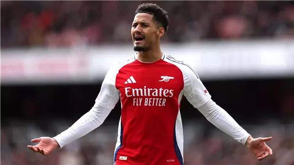 ويليام ساليبا