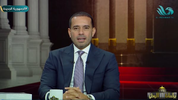 المهندس محمد زكي