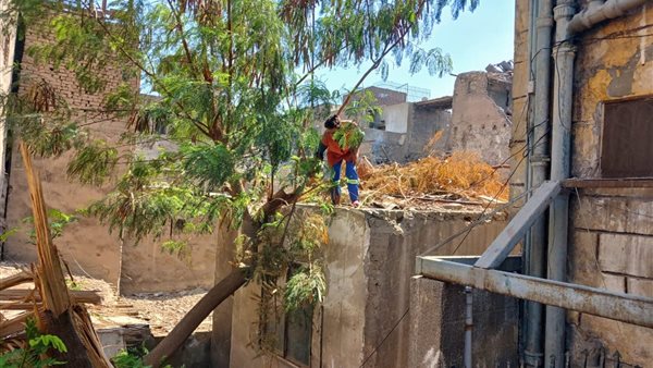  بدء حملة لنظافة