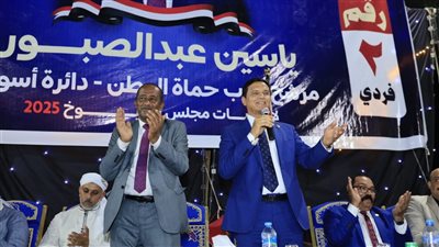 وسط تأييد جارف.. جولات بحضور شعبي لحملة ياسين عبد الصبور لمجلس الشورى عن حزب حماة الوطن بأسوان 