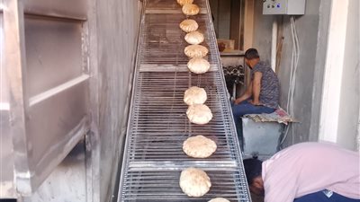 تحرير 261 محضرًا تموينيًا خلال حملات رقابية موسعة في قنا 