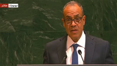 وزير الخارجية من الأمم المتحدة: الاعتراف بفلسطين ضرورة لوقف تصفية القضية.. حل الدولتين السبيل لإنهاء الصراع 