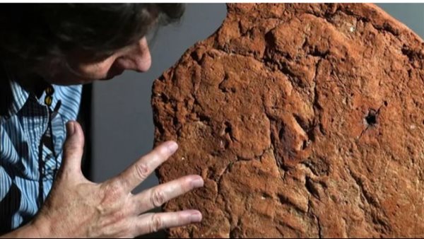 كشف أثري جديد 