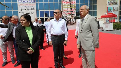 محافظ القاهرة يتفقد عددًا من اللجان المعدة لاستقبال الناخبين المشاركين لانتخابات مجلس الشيوخ