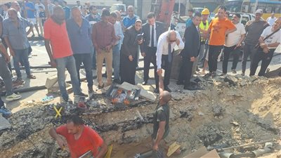 الكهرباء تشكر أهالي الجيزة لتعاونهم خلال أزمة انقطاع التيار