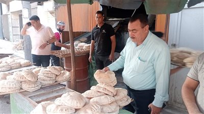 تموين دمياط يحرر 20 محضرًا للاستيلاء على الخبز المدعم بطرق غير مشروعة