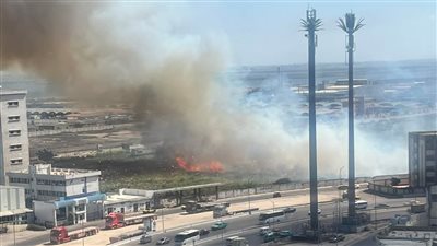 دون إصابات.. السيطرة على حريق بمخلفات زراعية بمدينة قها 