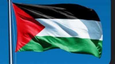 بعد فرنسا وبريطانيا وكندا.. مالطا تعلن اعتزامها الاعتراف بدولة فلسطين سبتمبر المقبل 