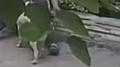 اعتدى على كلبة ولاحق سيدة.. فتاة توثق بكاميرات المراقبة واقعة صادمة في حدائق الأهرام