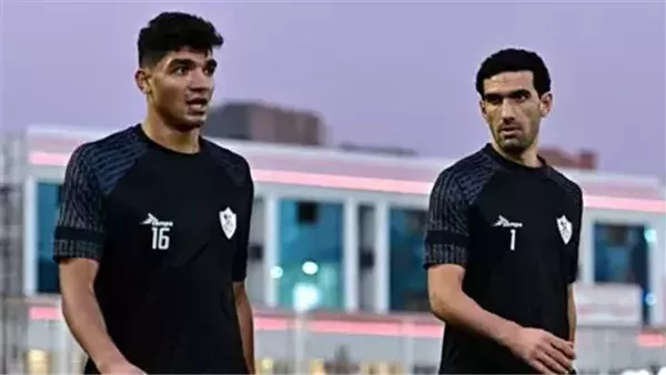 محمد صبحي ومحمد عواد