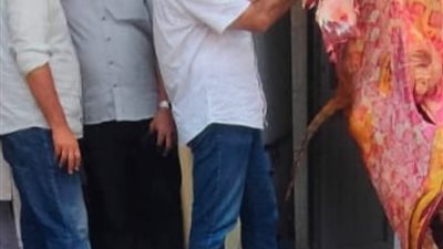 ضبط 2.5 طن لحوم ودواجن فاسدة وتحرير 22 محضرًا بالمنوفية خلال يوليو