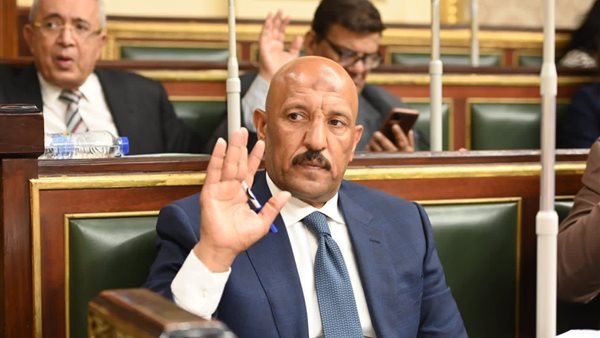 النائب أحمد الحديدي