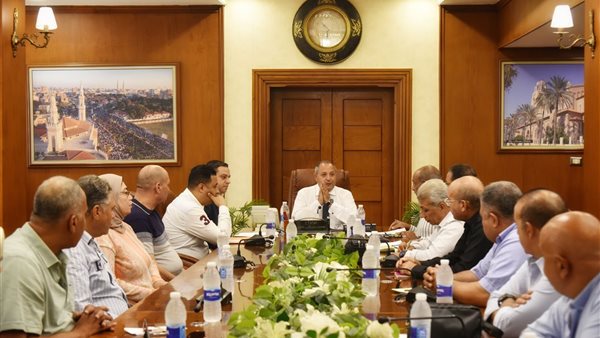 الجهود التنفيذية