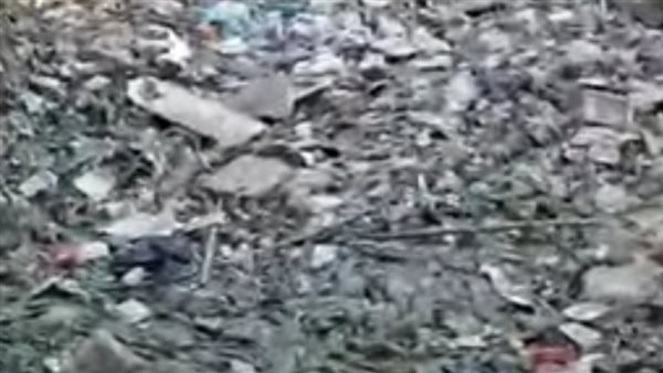 جانب من الترعة في