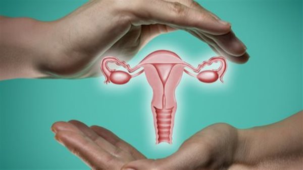 الرحم - أرشيفية 