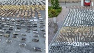 ضبط عنصرين جنائيين شديدي الخطورة بحوزتهما 4.5 طن مخدرات بقيمة 310 ملايين جنيه في الإسماعيلية