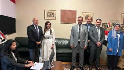 استمرار تصويت المصريين بالنرويج في انتخابات مجلس الشيوخ